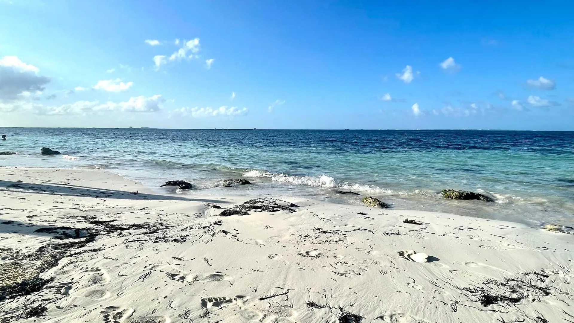 Villa Exclusive Beachfront Luxury Villa, Private Gym, Personalized 5 Star-Service, Beach Direct Access Cancun